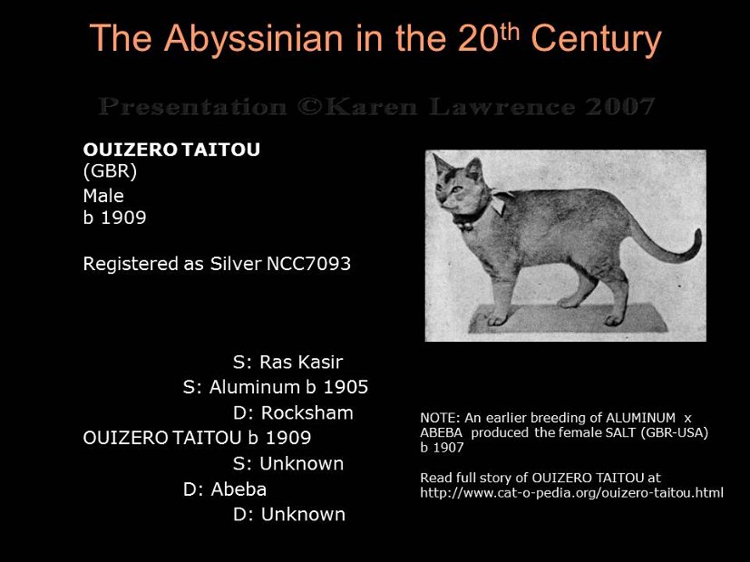 Slide26
