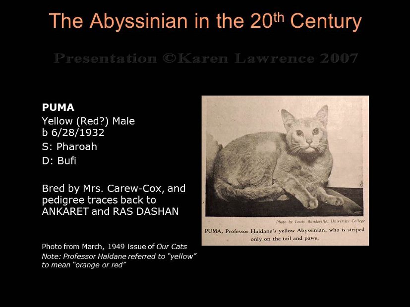 Slide34