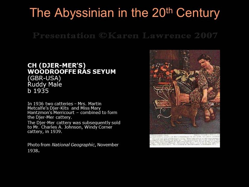 Slide41