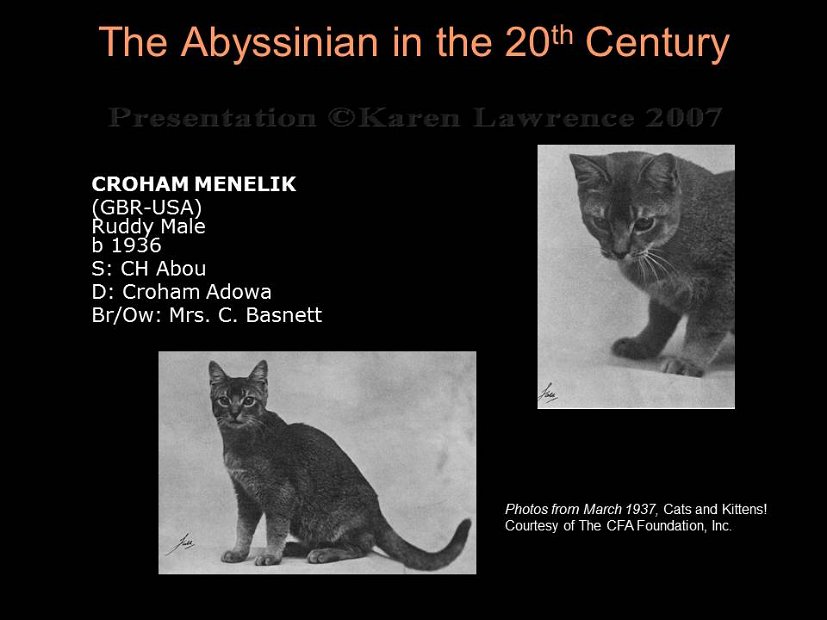 Slide44