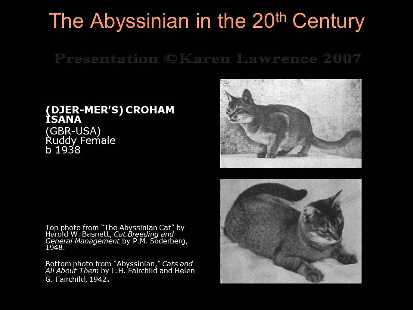 Slide45