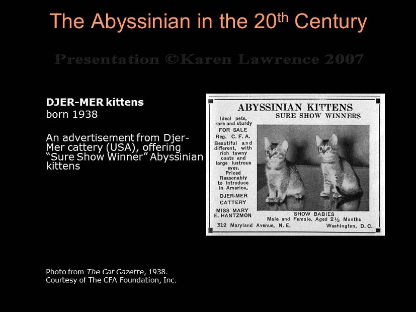 Slide47