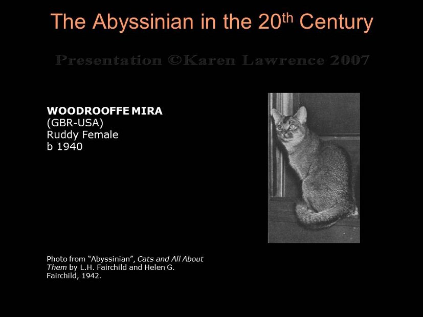 Slide53