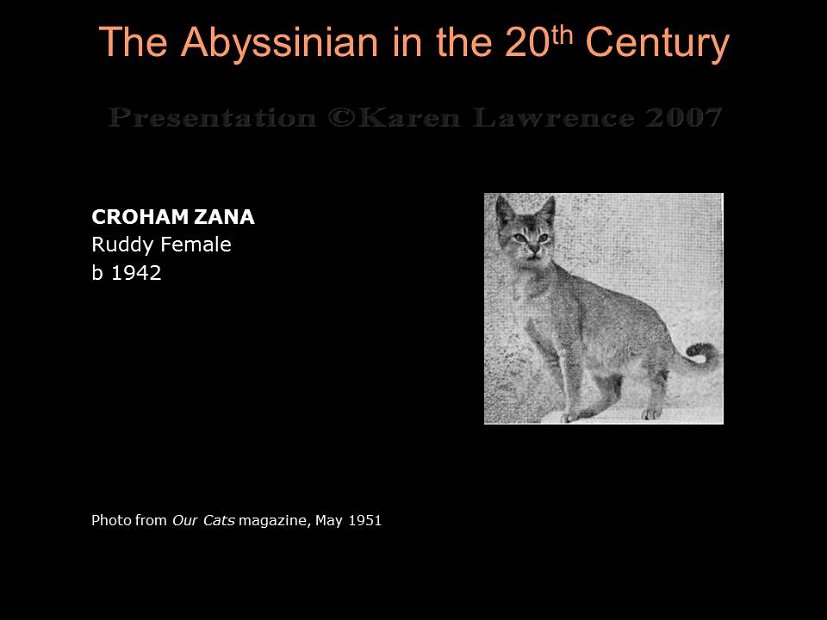 Slide56