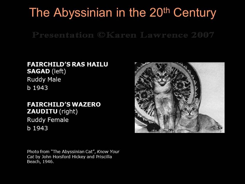 Slide57