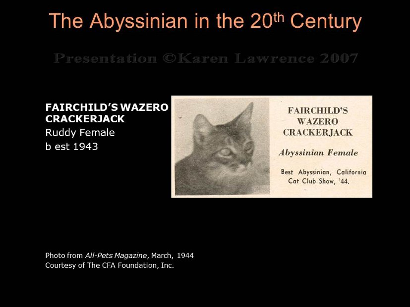 Slide58