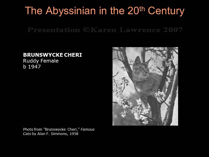 Slide60