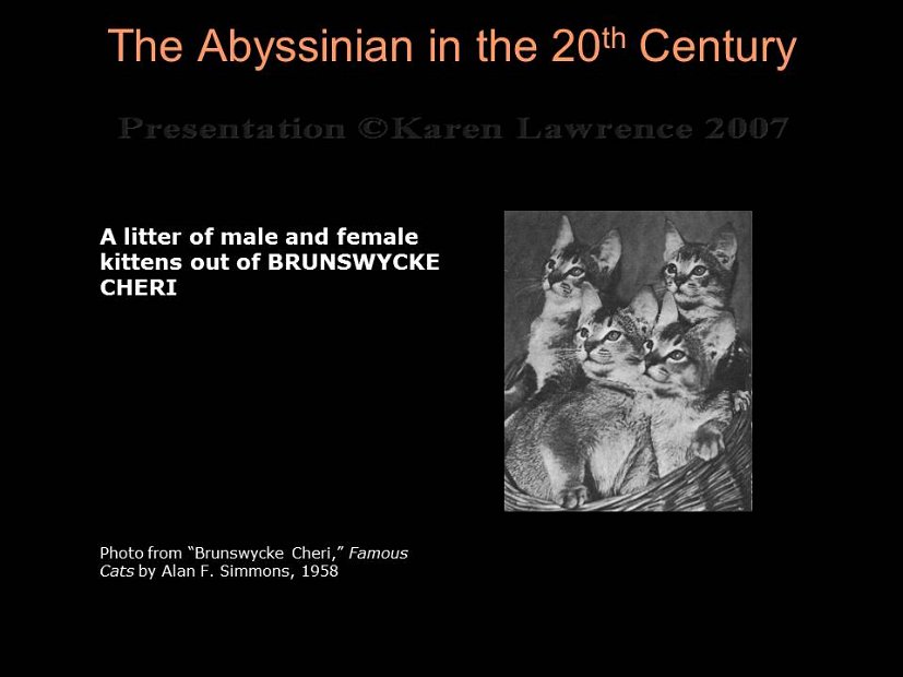 Slide61