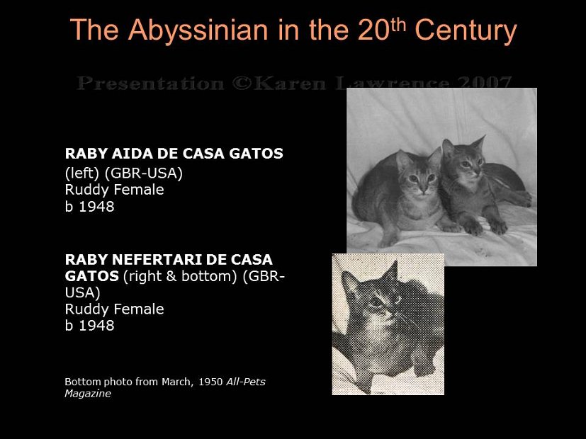Slide62