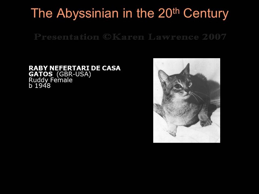 Slide63