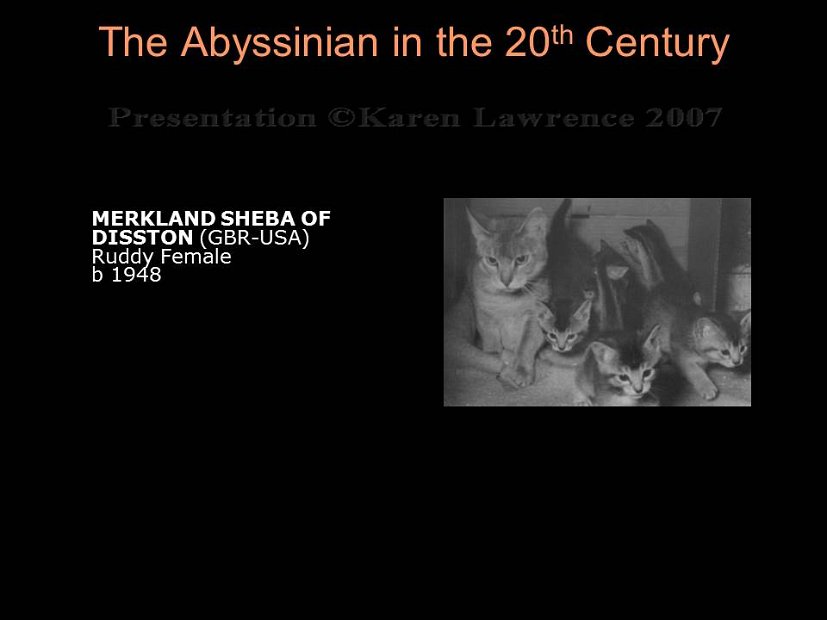Slide64
