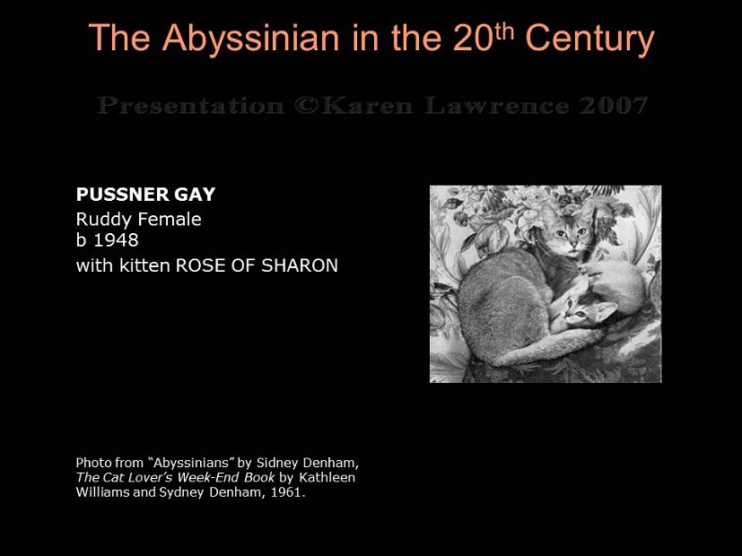 Slide65