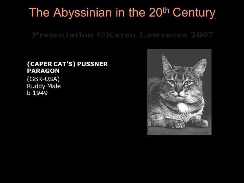 Slide67