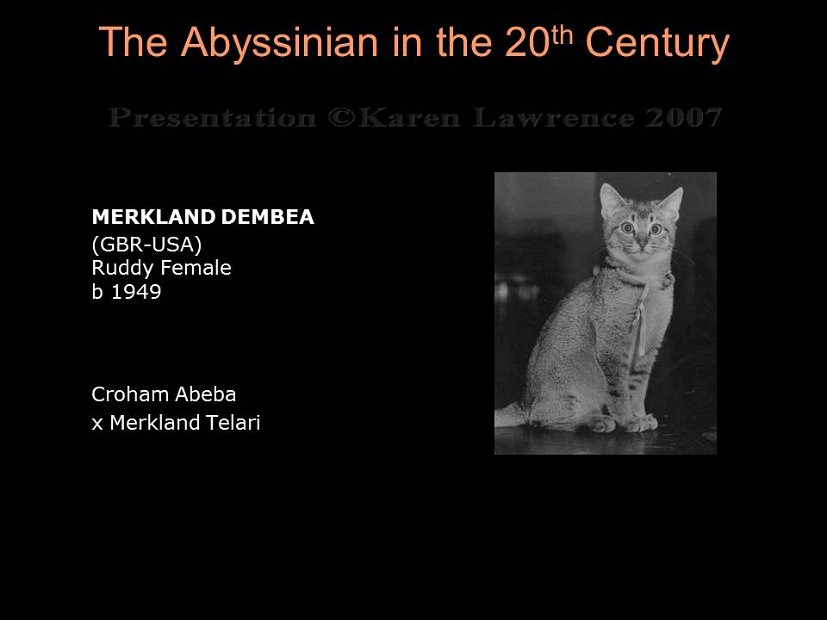 Slide68