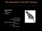 Slide25.JPG