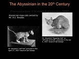 Slide31.JPG