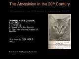 Slide51.JPG