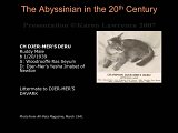 Slide52.JPG