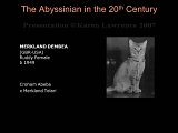 Slide68.JPG