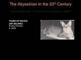Slide69.JPG