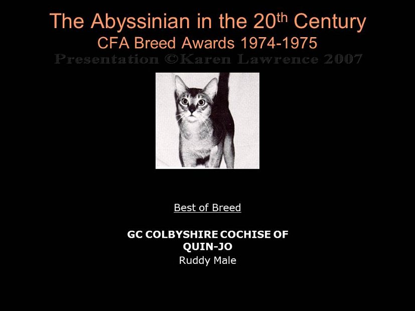 Slide227
