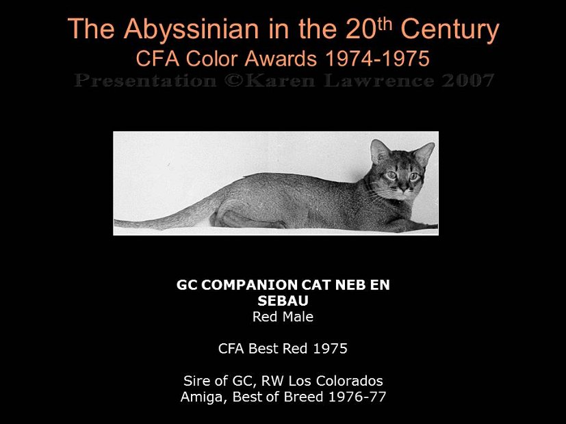 Slide228