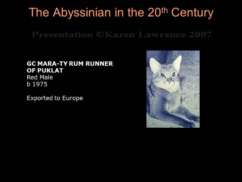 Slide231