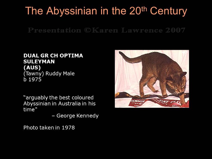 Slide232