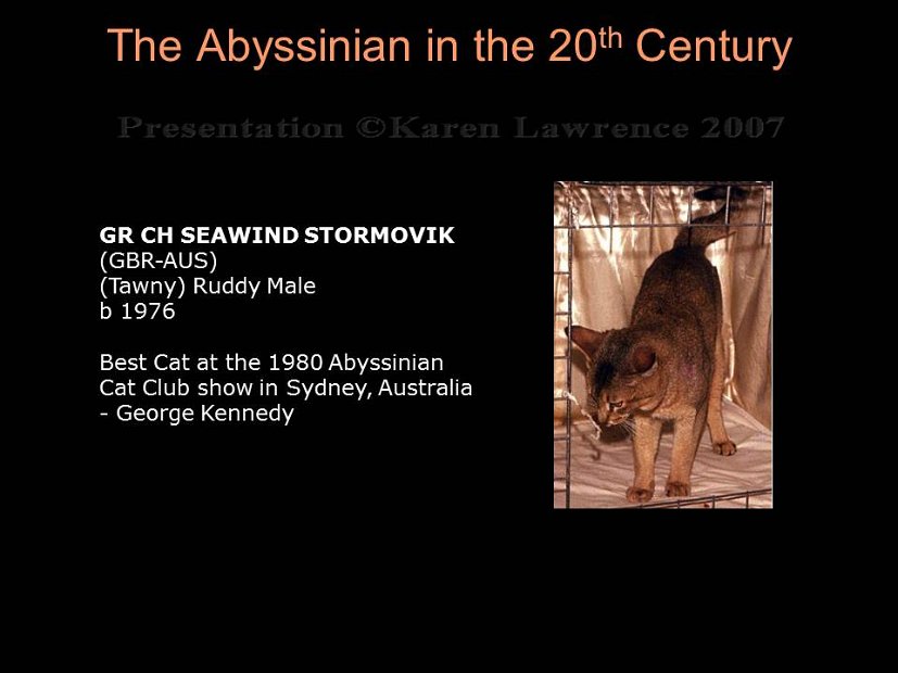 Slide240