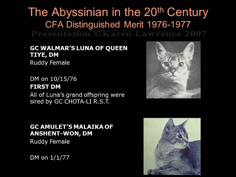 Slide242