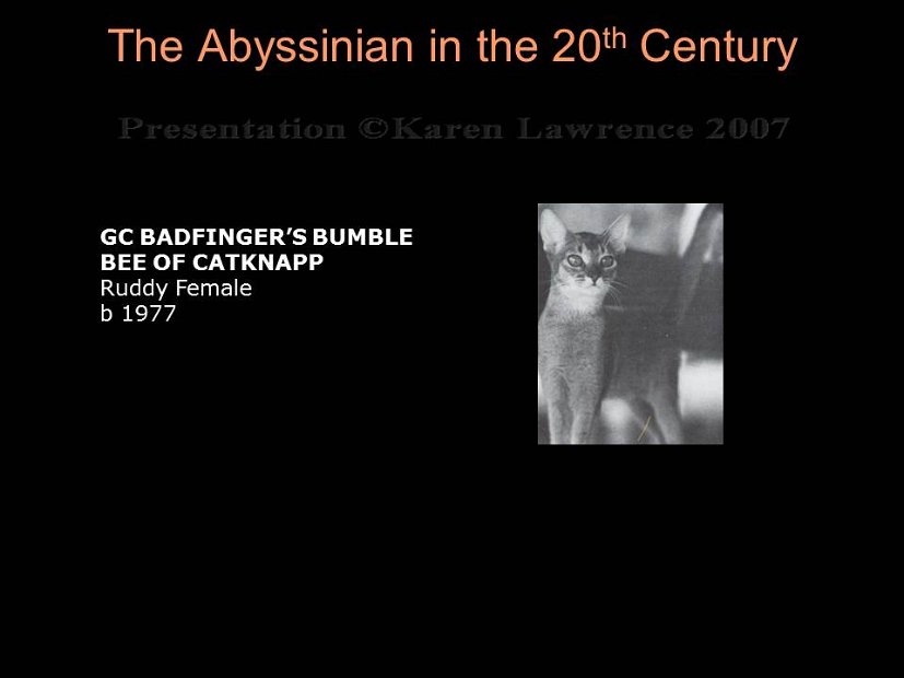 Slide245