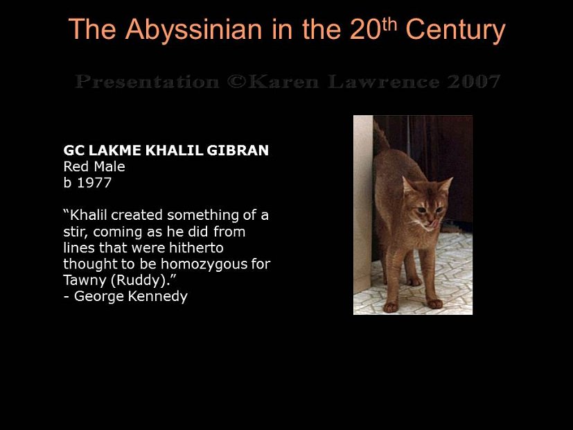 Slide247