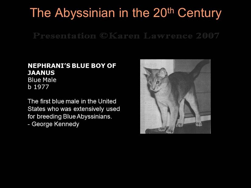 Slide248