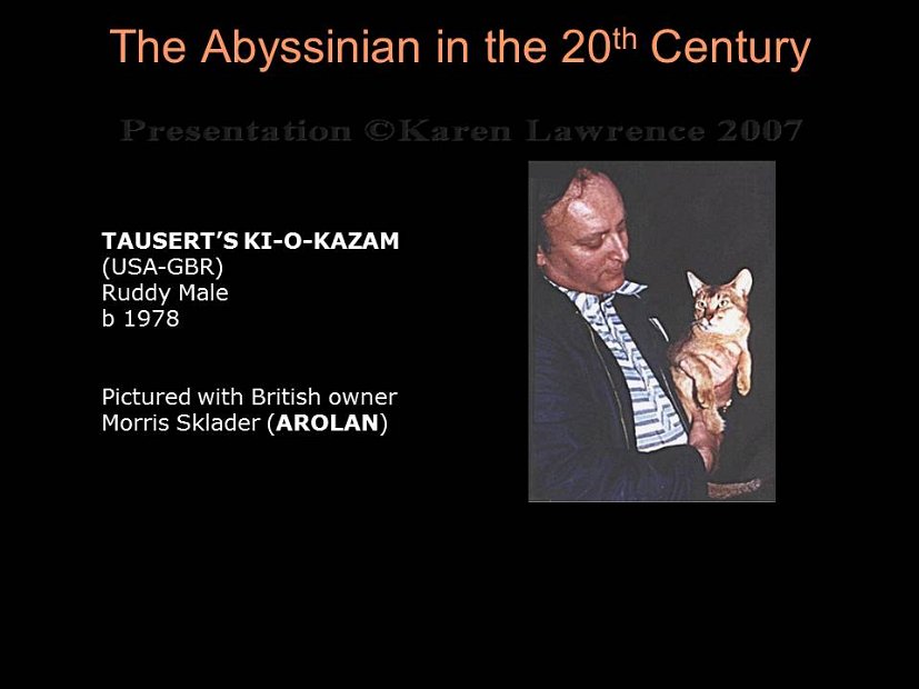 Slide253