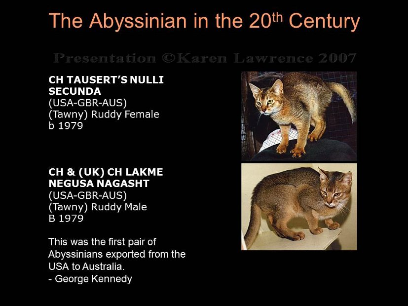 Slide260