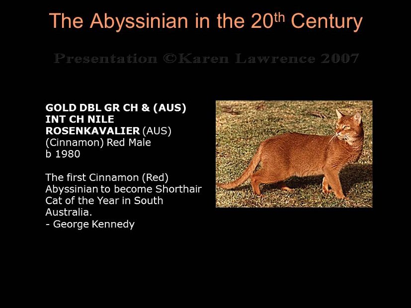 Slide267