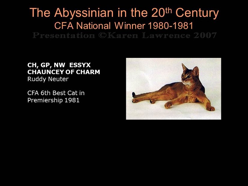 Slide271