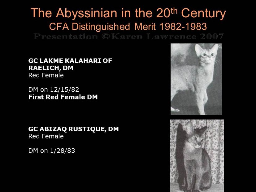 Slide279