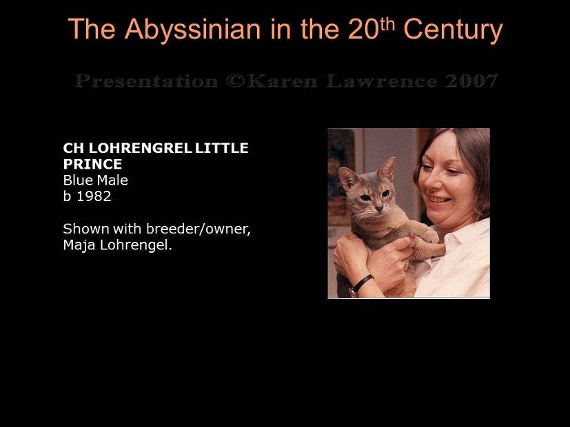 Slide282