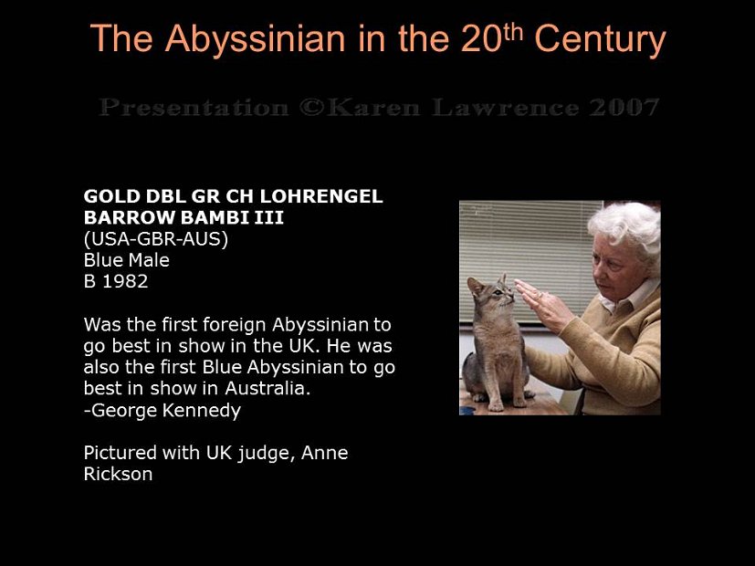 Slide284