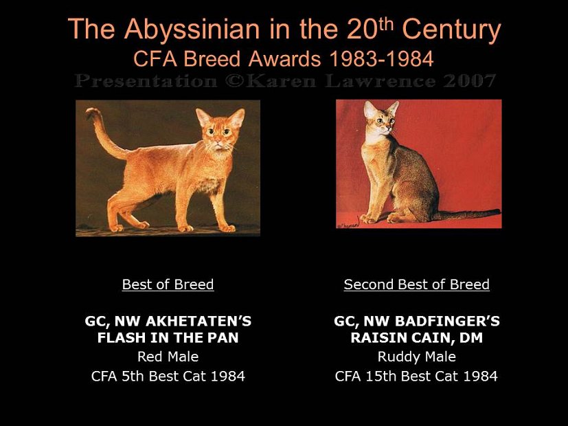 Slide285