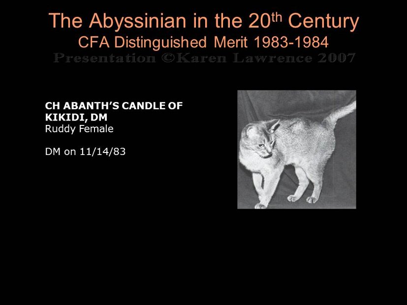 Slide286