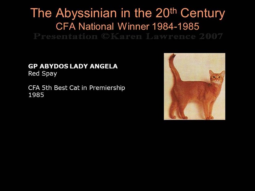 Slide293