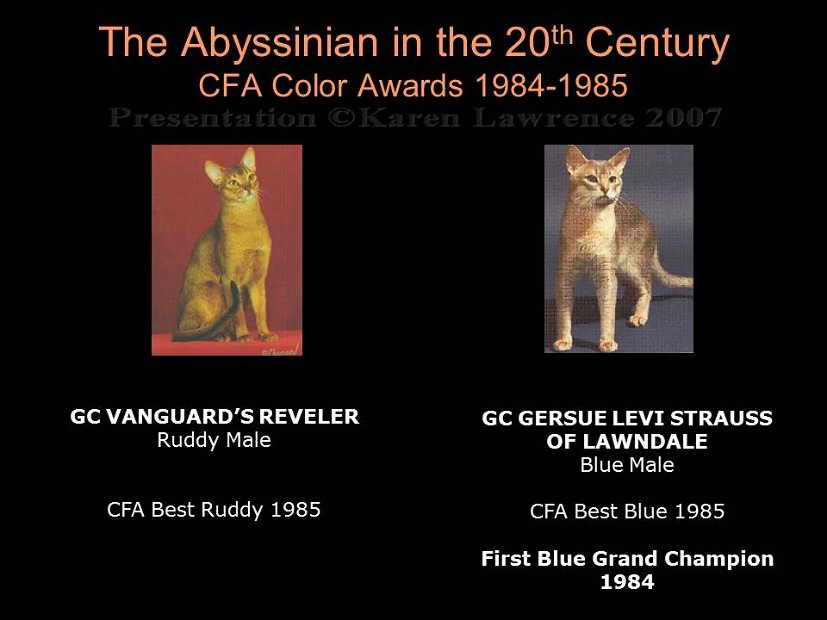 Slide294