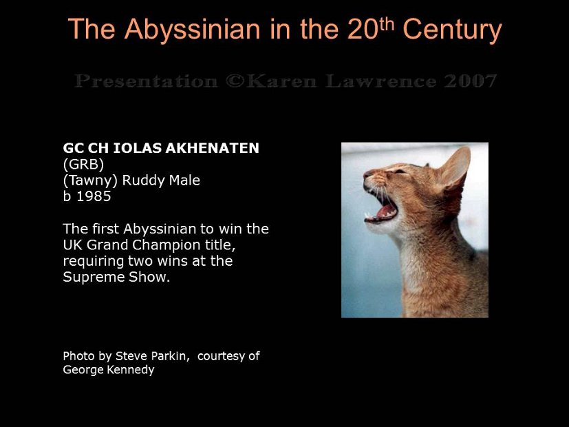 Slide303