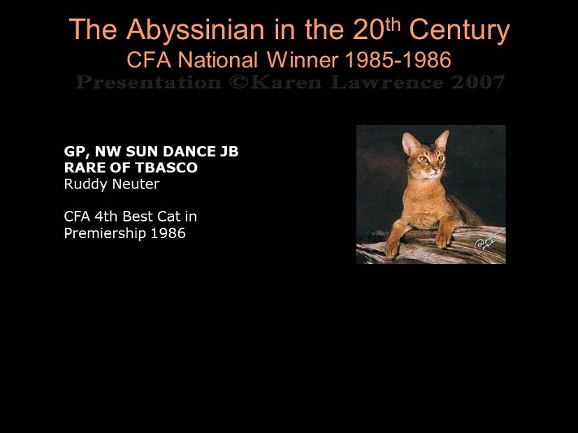 Slide309