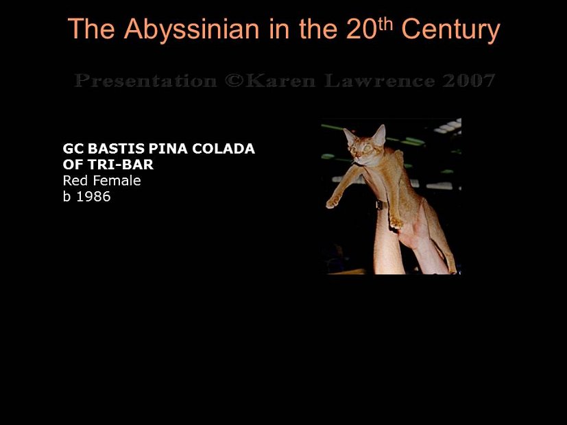 Slide312