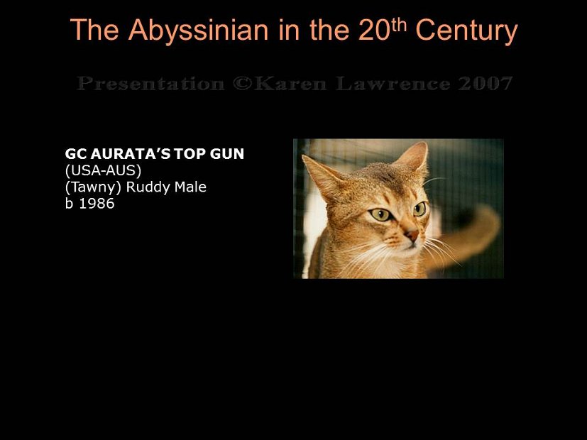 Slide314