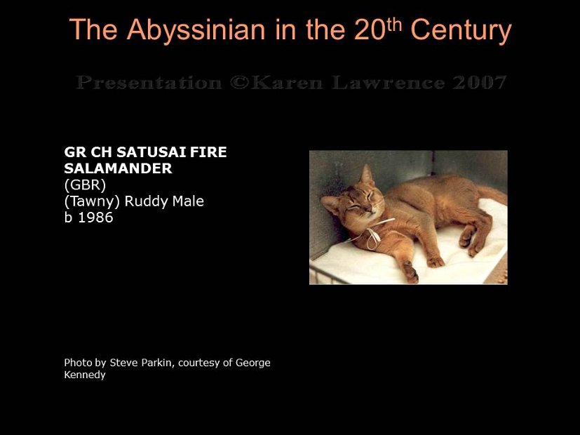 Slide317