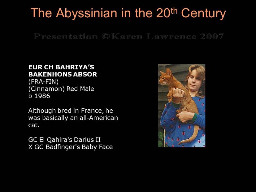 Slide318